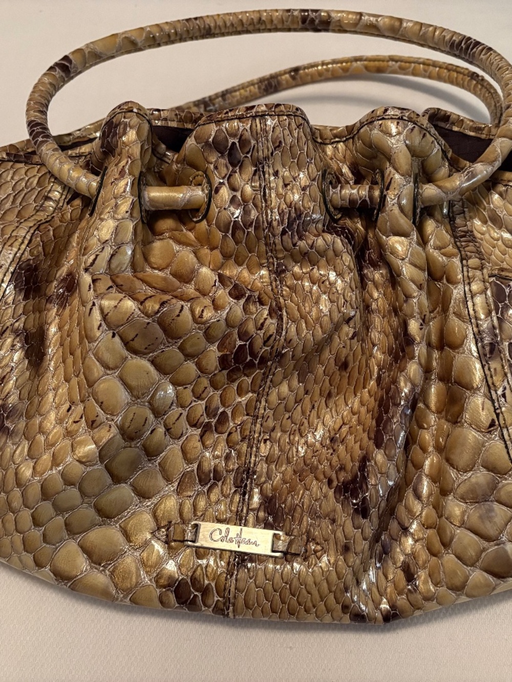 Cole Hahn bag